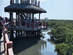 -北海金海湾红树林生态旅游区