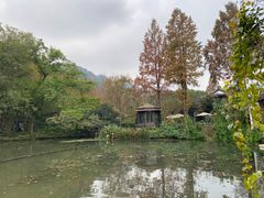 -绿茶餐厅(龙井船宴· 品牌总店)