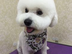 -乐琪宠物(青塔西路店)