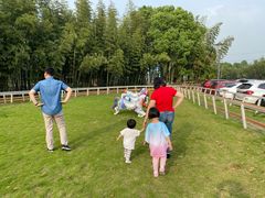 -太阳岛度假酒店