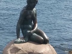 -美人鱼