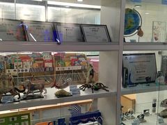 -斯坦星球AI编程·机器人科创·科学实验·信奥·思维·STEM·乐高·竞赛考级(长宁虹桥大融城荟聚中心)