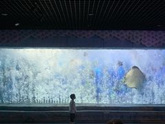 -梦幻海洋王国(吾悦广场张家港店)