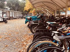 -上海第二工业大学(金海路校区)