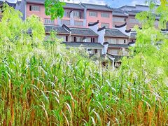 -长兴太湖图影湿地文化园