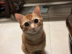 -金城大酒店-中餐厅(汾江中路店)