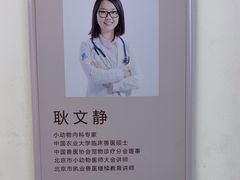 -美联众合动物医院·24h转诊中心