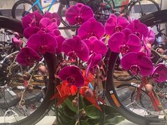 -捷安特自行车(中关村店)