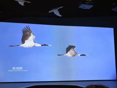 -中国湿地博物馆