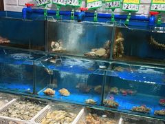 水产区-潮庭·大连海鲜·炭火烧烤·扇贝王(大连店)
