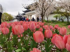 -苏州上方山国家森林公园