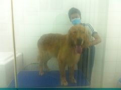 iphone_upload_pic-中农大我爱我爱24h动物医院·中医针灸·猫专科·骨科医疗中心(双井店)