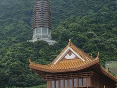 -深圳仙湖植物园