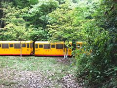 -遂昌金矿国家矿山公园