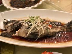 -上海南新雅大酒店