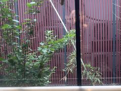 -唐猫庭院·千年陕菜(大唐不夜城店)