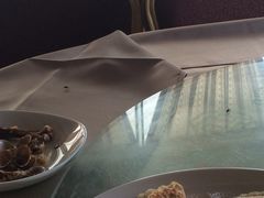 吃饭的时候有苍蝇到处飞。-丽华园(汉阳龙阳店)