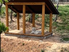 -石家庄市动物园