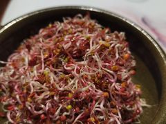 -来哥菜馆·大厨烹小鲜