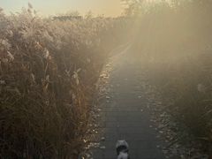-绿堤公园
