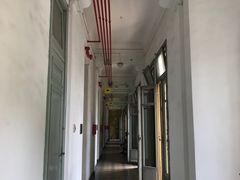 -胡志明市美术馆
