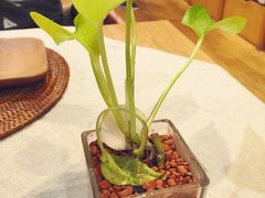 多伦多海鲜自助餐厅(圆融店)-星伦多 自助料理(圆融店)