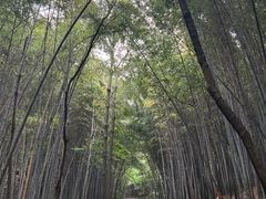 -穹窿山景区