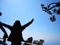 -王顺山国家森林公园