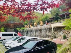 -宁波浙东大竹海景区