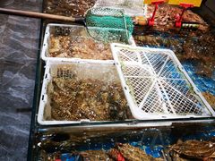 -百家福海鲜排档·闽菜·家宴(斗西路口店)