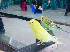 -昆明大悦城未来动物城(螺蛳湾中心店)