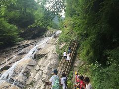 -青峰峡国家森林公园