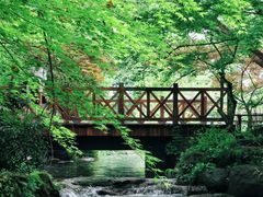 -中国茶叶博物馆(双峰馆区)