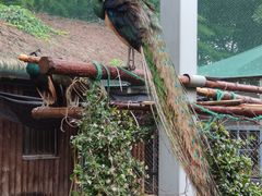 -上方山森林动物世界