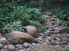 -成都市活水公园