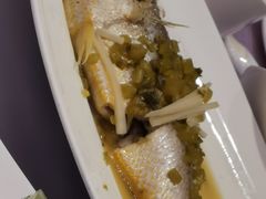 雪菜蒸有机大黄鱼-宝燕壹号(徐汇店)