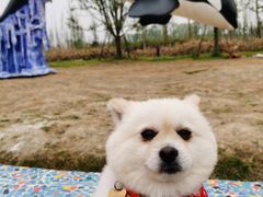 -白鹭湾湿地公园