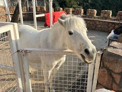 -J Create城市露营咖啡·简餐·宠物(上海动物园店)