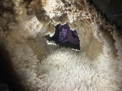 -湖南省地质博物馆