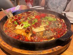 -老板恋上鱼(恒隆广场店)