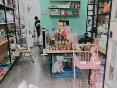 -发条熊宠物生活馆(东安·蓝湾半岛店)