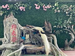 -野象谷景区