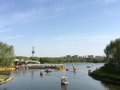 -大兴滨河森林公园