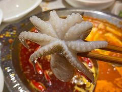 -DaLongYi Hotpot - 大龙燚火锅 - 地道四川老火锅