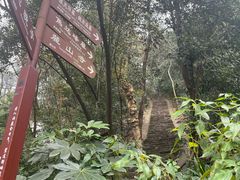 -岳麓山风景名胜区