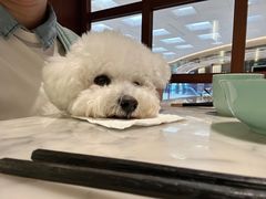 -蝶园·装修中(BFC外滩金融中心店)