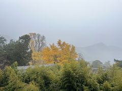 -潭柘寺景区