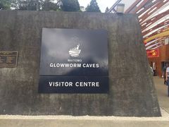 -怀托摩萤火虫洞