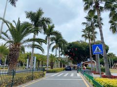 -音乐广场