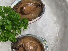 -福樱兰海鲜放题铁板烧(加州店)